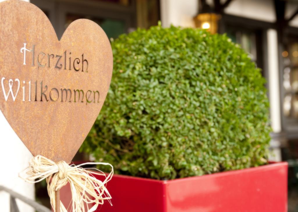 Ringhotel Boemers Mosel Landhotel Alf Esterno foto